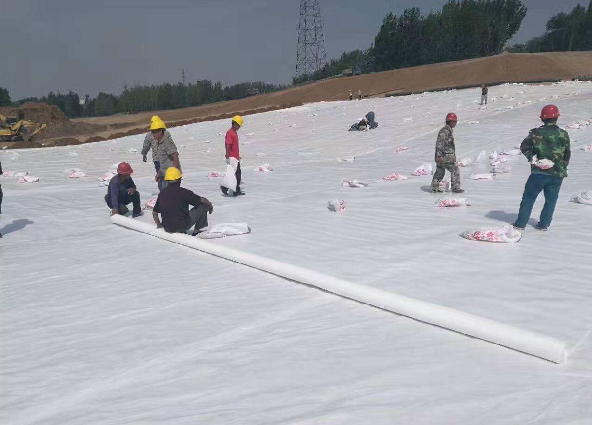 撸撸片在线的功能