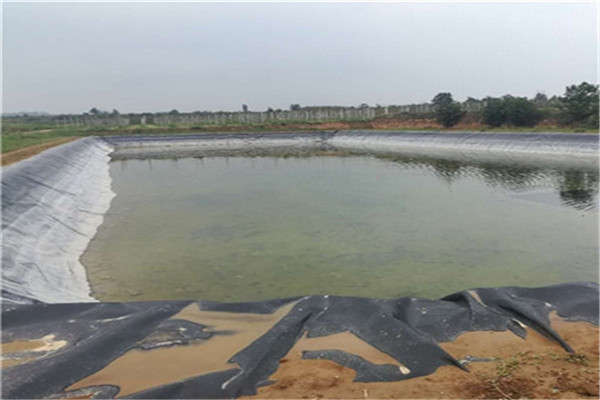 防渗撸撸AV在线观看在水产养殖的科学原理