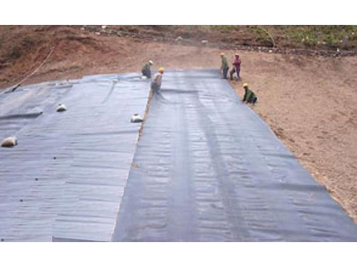 防渗撸撸AV在线观看