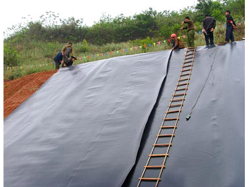 撸撸AV在线观看